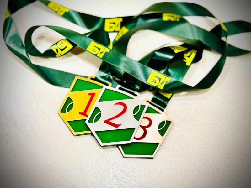 Наградная продукция с логотипом заказать медали